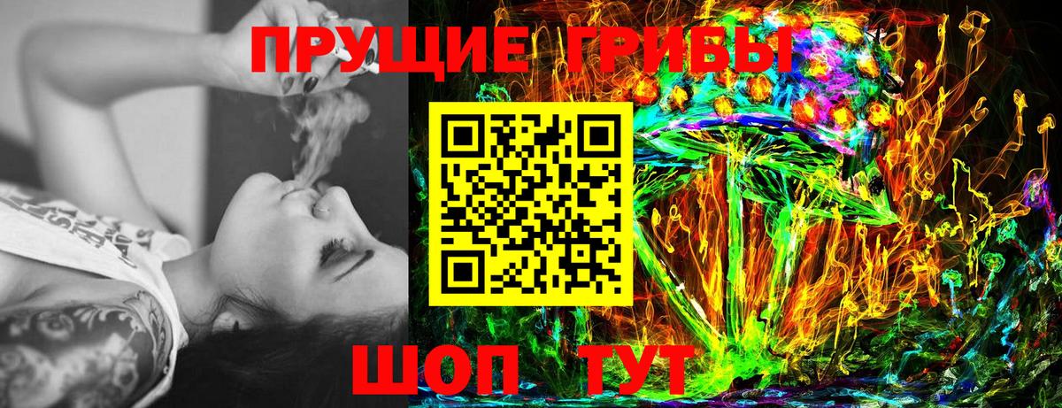 продажа наркотиков  Конаково  Галлюциногенные грибы Psilocybe  Псилоцибиновые грибы ЛСД 